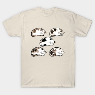 Sleeping cats pattern T-Shirt